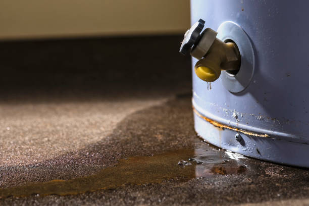 Best Flood damage cleanup  in Crane, TX
