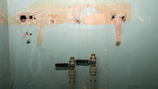 Best Residential water damage restoration  in Crane, TX
